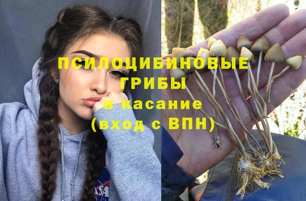 марки lsd Козловка