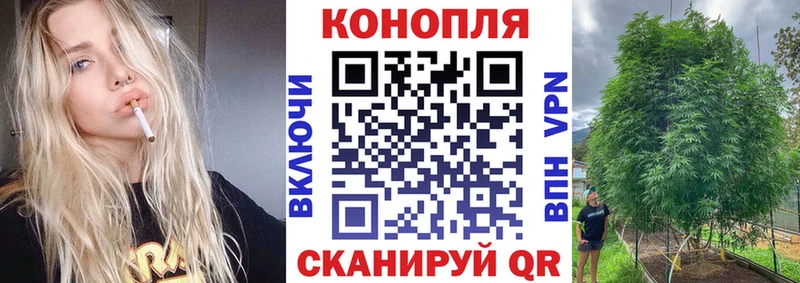 Купить где  Ефремов  Шишки марихуана индика 